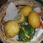 Limoni di Procida, grazie mamma di Ilaria