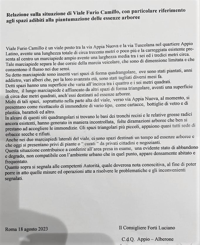 Relazione criticità area pedonale Viale Furio Camillo